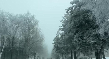 Kastamonu'da sis etkili oluyor