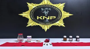 Kırklareli'nde uyuşturucu operasyonunda yakalanan zanlı tutuklandı