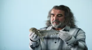 Kışın zorlu şartlarına dayanamayan yaban hayvanları Van'daki merkezde misafir ediliyor