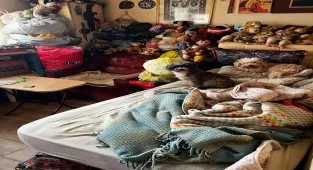 Kocaeli'de bir evde kötü koşullarda tutulan 55 hayvan koruma altına alındı