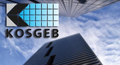 KOSGEB desteğiyle kurduğu işletmede Tavuk Doktoru markasıyla kanatlı sağlığına odaklandı