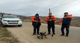 Manisa'da kaybolan 59 yaşındaki kadın aranıyor