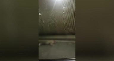 Minibüsün çarptığı kadın hayatını kaybetti