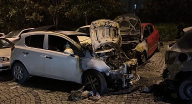 Park halindeki 4 araç yandı