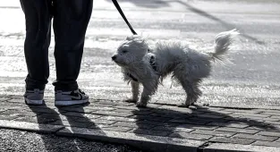 Tekirdağ'da deniz ulaşımına lodos engeli