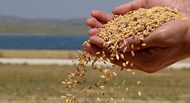 TMO tarafından yem sektörüne yönelik ilave stoklar satışa sunuldu