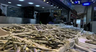 Trabzon'da balıkçı tezgahlarında hamsi ve istavrit ilgi görüyor