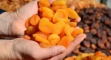 Türkiye'den 150 ülkeye 1 milyar 742 milyon dolarlık kuru meyve ihracatı