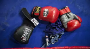 Türkiye Ferdi Boks Şampiyonası, Kocaeli'de sürüyor