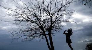 Türkiye'nin elektrik kurulu gücü 122 bin 519 megavat oldu