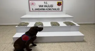 Van'da 5 kilo 250 gram esrar ele geçirildi