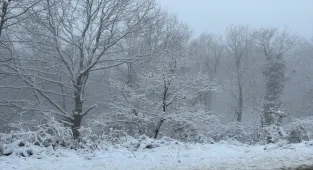 Çanakkale'nin yüksek kesimlerinde kar etkili oldu