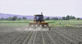 Çiftçilere 338,3 milyon liralık tarımsal destekleme ödemesi bugün yapılıyor