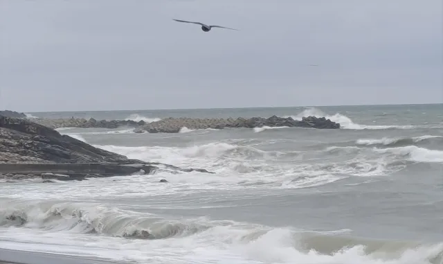 Düzce'de kuvvetli rüzgar nedeniyle dalga boyu 3 metreye ulaştı