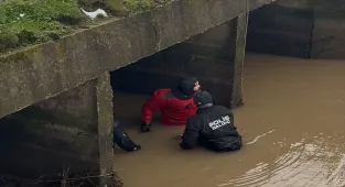 Edirne'de sulama kanalına düşen kamyonetin sürücüsü öldü