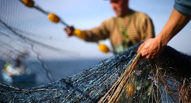 Edirne'deki Meriç Nehri'nde 102 kilogramlık yayın balığı yakalandı