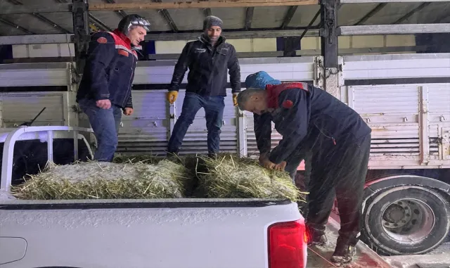 Erzurum’da yolda kalan tırlardaki hayvanlar beslendi