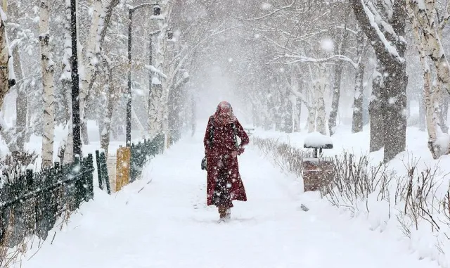 Kars'ta kar ve tipi nedeniyle ulaşıma kapanan köy yolları açıldı