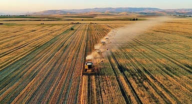 Kayseri Şeker 2025-2026 pancar bedeli ödeme takvimini açıkladı