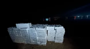 Kırklareli'nde yasal boy sınırı altında avlanan 1 ton 300 kilogram istavrite el konuldu