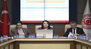 TBMM Dilekçe ile İnsan Haklarını İnceleme Karma Komisyonu toplandı