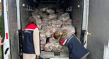 Tekirdağ'da 3 bin 500 kilogram sakatat ele geçirildi