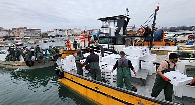Tekirdağlı balıkçıların yüzünü torik bolluğu güldürüyor