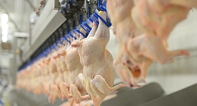 Ticaret Bakanlığından, kanatlı eti ihracatının durdurulmasına ilişkin açıklama