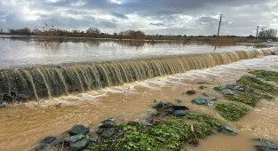 Uşak'ta derenin taşması sonucu tarım arazilerini ve iş yerlerini su bastı