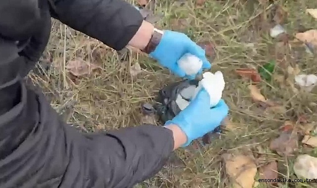 Uyuşturucu operasyonu: 3 zanlı yakalandı