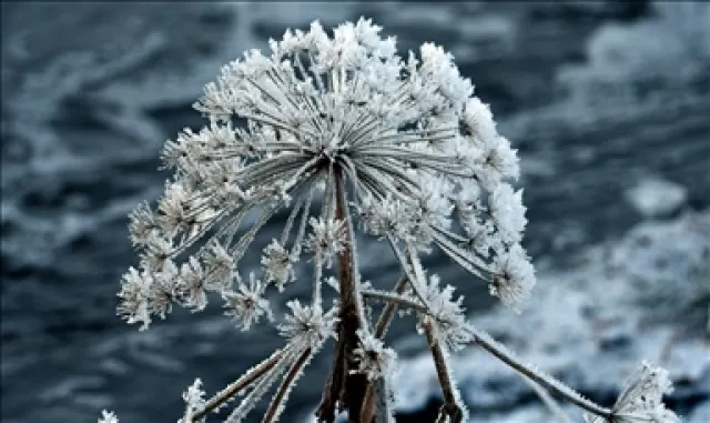 Antalya'nın yüksek kesimlerinde buzlanma olan yollarda tuzlama çalışması yapıldı