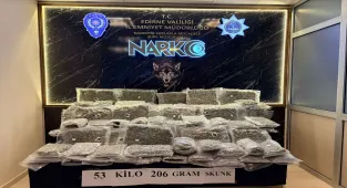 Kapıkule'de tırda 53 kilo 206 gram skunk ele geçirildi