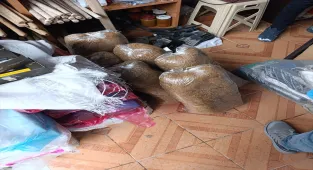 Kastamonu'da 99 bin 560 makaron ele geçirildi, 4 zanlı yakalandı