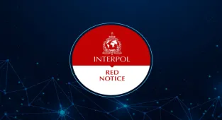 Kırmızı bültenle aranan 18, ulusal seviyede aranan 27 suçlu Türkiye'ye getirildi