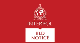 Kırmızı bültenle aranan 32, ulusal seviyede aranan 40 kişi yurt dışından Türkiye'ye getirildi