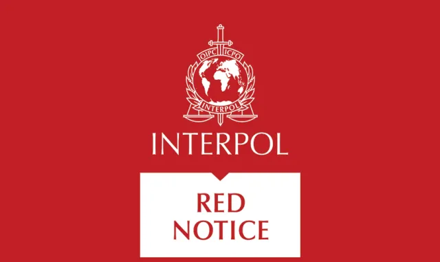 Kırmızı bültenle aranan 32, ulusal seviyede aranan 40 kişi yurt dışından Türkiye'ye getirildi