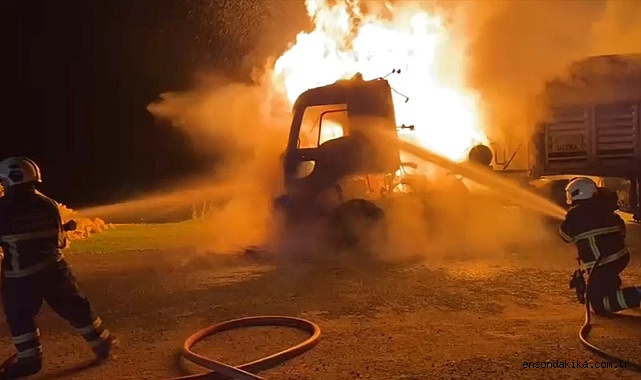 Mardin'de tırda çıkan yangın söndürüldü