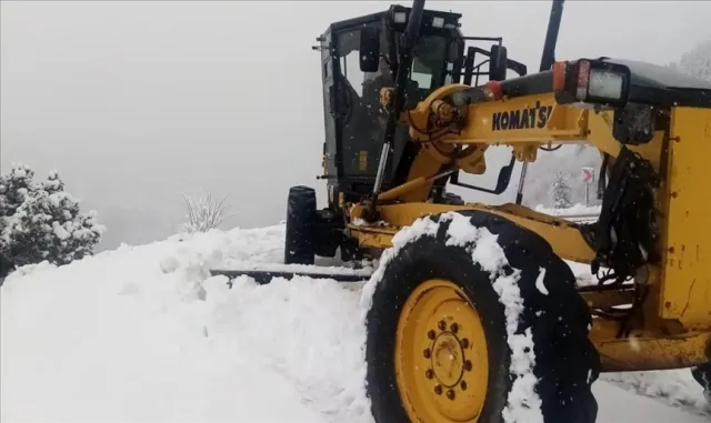 Şırnak'ta çığ düşmesi sonucu kapanan köy yolu ulaşıma açıldı