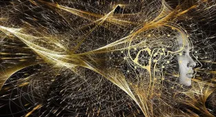 Sistem Global TÜBİTAK başvuruları için yapay zeka destekli değerlendirme platformunu duyurdu