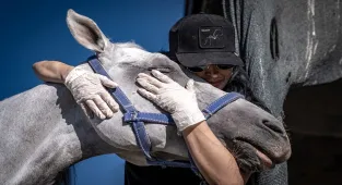 Adana'da Atlı Polis Grup Amirliği özel gereksinimli çocukları ağırladı