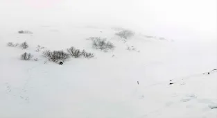 Artvin'de çığ bölgesinde gözlemsel etüt ve kar rasatı çalışması yapıldı