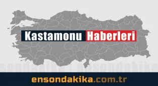 Karganın seyir halindeki otomobilde seyahati ve sürücünün omzuna konması kamerada