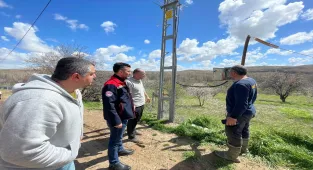 Kırşehir'de elektrik akımına kapılan 4 küçükbaş hayvan telef oldu