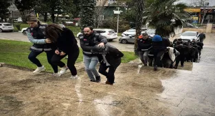 Samsun merkezli 13 ilde change araç operasyonunda yakalanan 13 zanlı adliyede