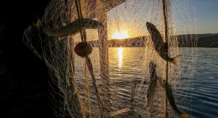 Türkiye'de geçen yıl 207 bin 371 balıkçılık denetimi yapıldı 