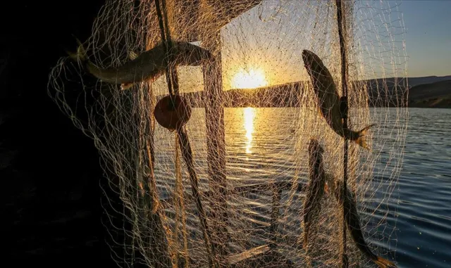 Türkiye'de geçen yıl 207 bin 371 balıkçılık denetimi yapıldı