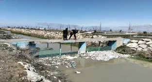 Van'daki dereler ve sahil bandı inci kefalleri için temizleniyor
