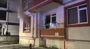 Bolu'da itfaiyenin yaşatmak için seferber olduğu kedi kurtarılamadı