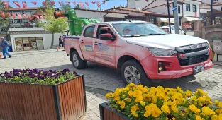 Güdül’de haşereyle mücadele çalışmaları sürüyor 