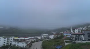 Samsun'da sis etkili oluyor